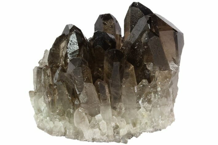 Dark Smoky Quartz Crystal Cluster - Brazil #84846